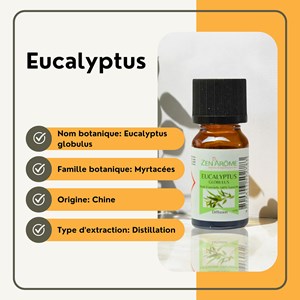 Huile essentielle d'eucalyptus - 10ml