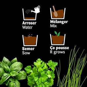 Châssis zinc noir 3 pots zinc aromates