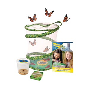 Kit d'élevage de papillon, modèle garden