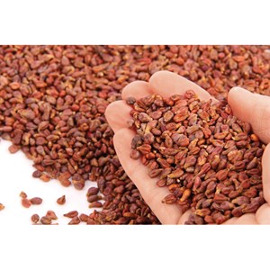 Bouillotte coussin pépins de raisins