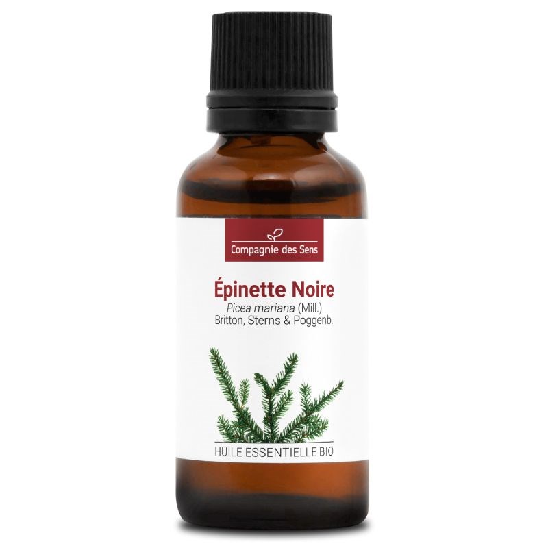 Épinette noire (picea mariana) - huile essentielle bio - 30ml garantie chromacer