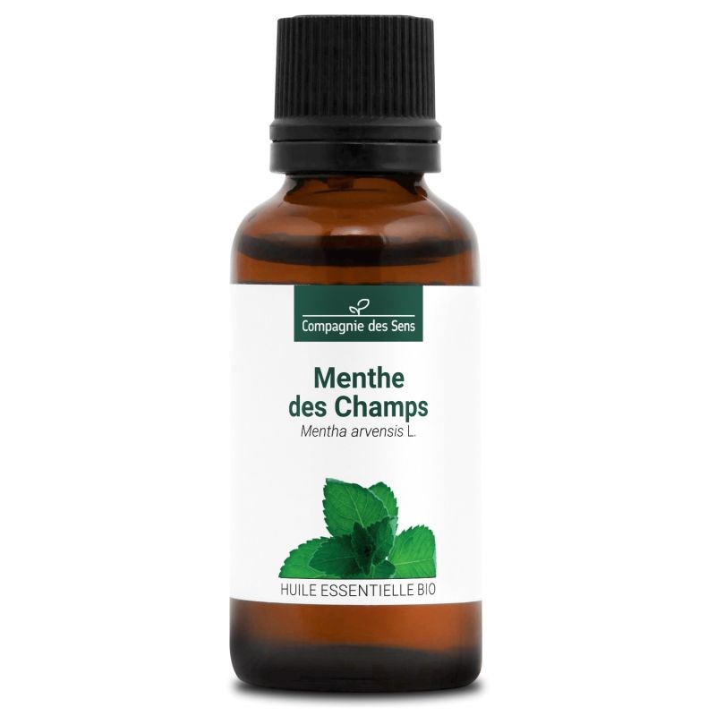 Menthe des champs - huile essentielle bio - 30ml garantie chromacert® - chémotyp