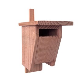 Nichoir troglodyte mignon