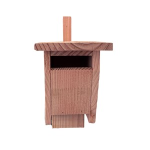 Nichoir troglodyte mignon