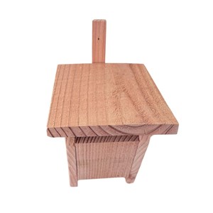 Nichoir troglodyte mignon