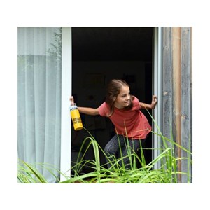 Gourde sigg brave bear