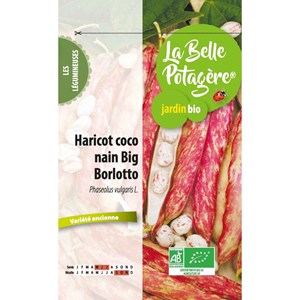 Haricot nain big borlotto 50 g