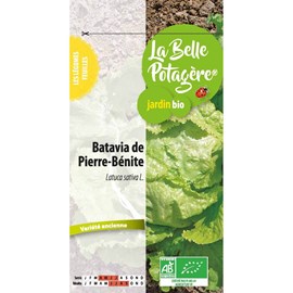 Batavia de pierre-bénite 0,5 g