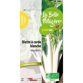 Blette à carde blanche 1.5 g