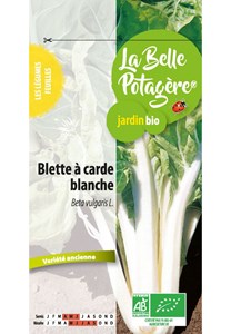 Blette à carde blanche 1.5 g