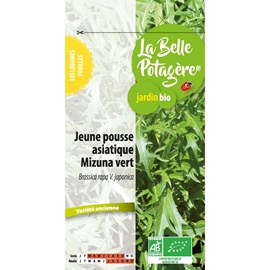 Jeune pousse asiatique mizuna vert 1.5 g