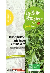 Jeune pousse asiatique mizuna vert 1.5 g