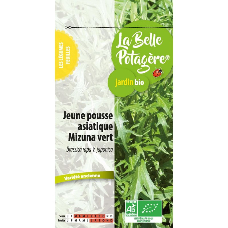 Jeune pousse asiatique mizuna vert 1.5 g