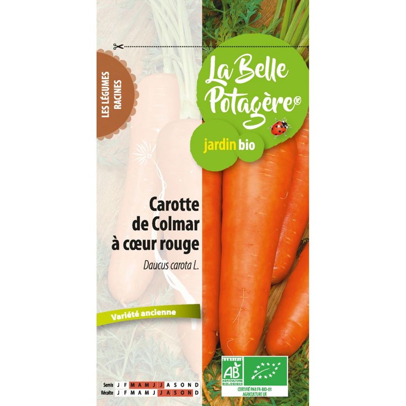 Carotte de colmar à coeur rouge 1,5 g