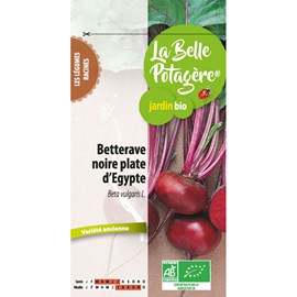 Betterave noire plate d'egypte 2,5 g