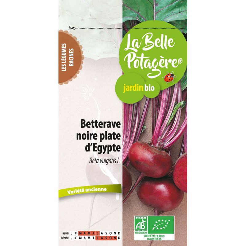 Betterave noire plate d'egypte 2,5 g