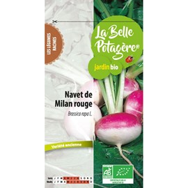 Navet de milan rouge 1 g