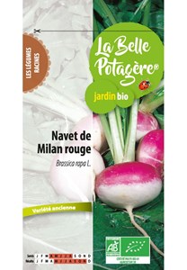 Navet de milan rouge 1 g