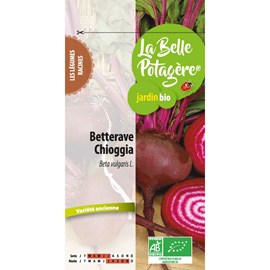 Betterave chioggia 2.5 g