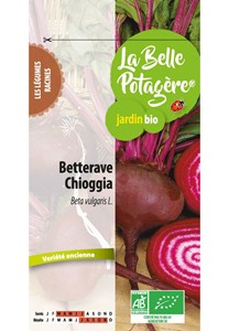 Betterave chioggia 2.5 g