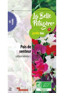 Pois de senteur 2,5 g