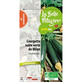 Courgette noire verte de milan 1,6 g