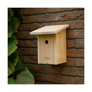 Nichoir mésange bleue