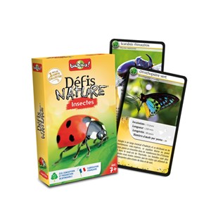 Défis nature : les insectes