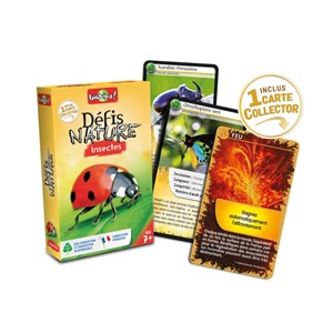 Défis nature : les insectes