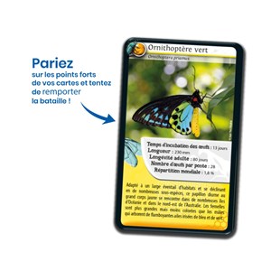 Défis nature : les insectes
