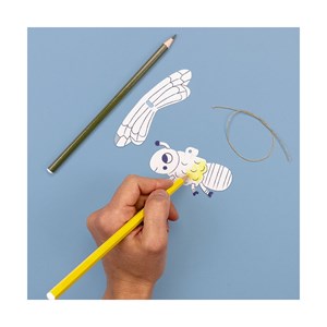 Mon animal 3d : l'abeille