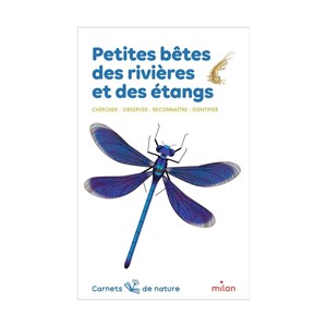 Carnet de nature : petites bêtes des riv