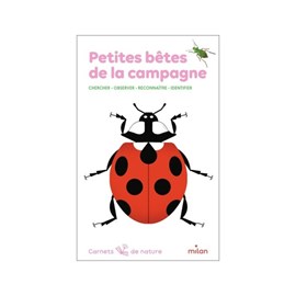 Carnet de nature : petites bêtes de la c