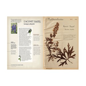 L'herbier oublié