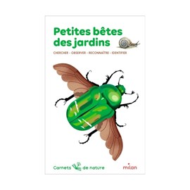 Carnet de nature : petites bêtes des jar
