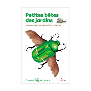 Carnet de nature : petites bêtes des jar
