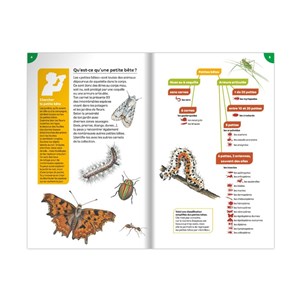 Carnet de nature : petites bêtes des jar