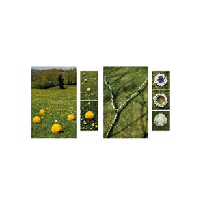 Land art de printemps