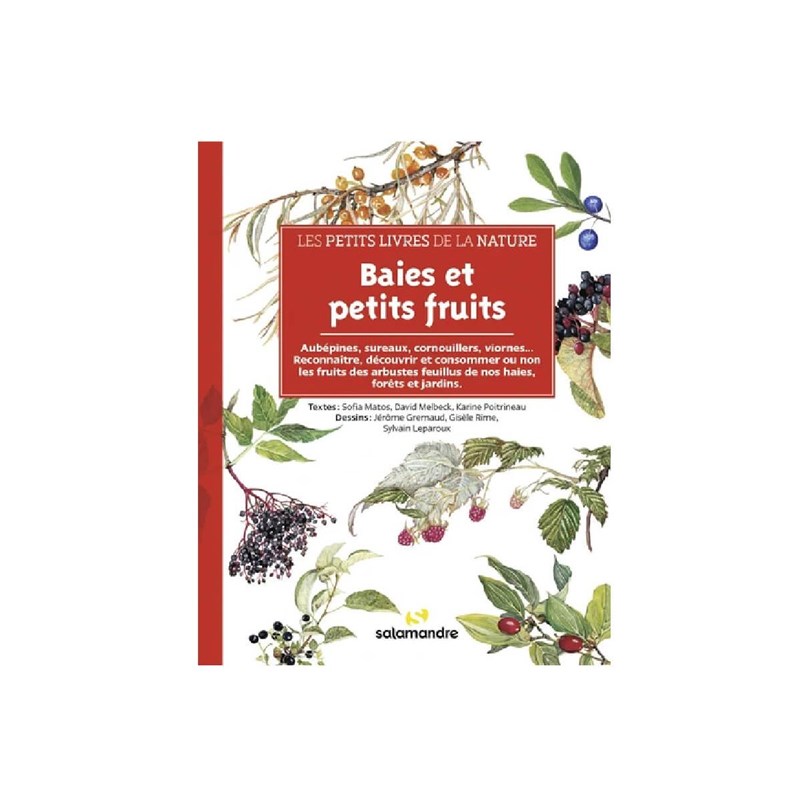 Les petits livres de la nature - champig
