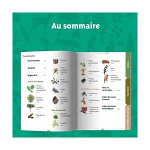 Le guide nature - en forêt - 3ème éditio