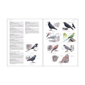 Le grand livre de la nature