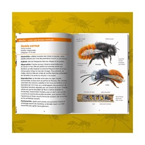 Les petits livres de la nature - abeille