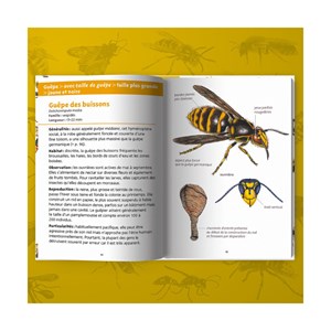 Les petits livres de la nature - abeille