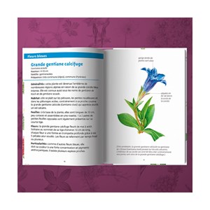 Les petits livres de la nature - fleurs