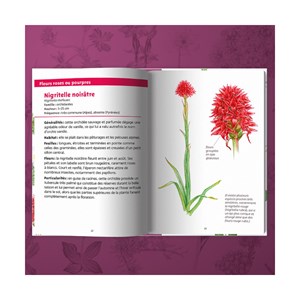 Les petits livres de la nature - fleurs