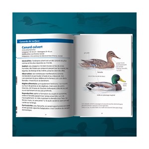 Les petits livres de la nature - oiseaux