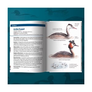 Les petits livres de la nature - oiseaux