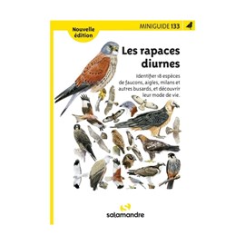 Miniguide 133 - les rapaces diurnes