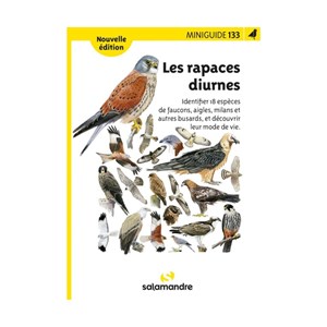 Miniguide 133 - les rapaces diurnes