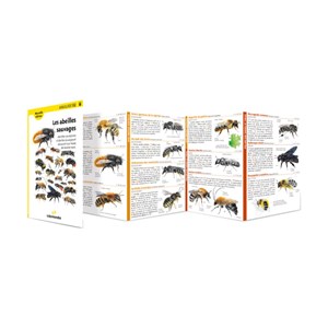 Miniguide 132 - les abeilles sauvages